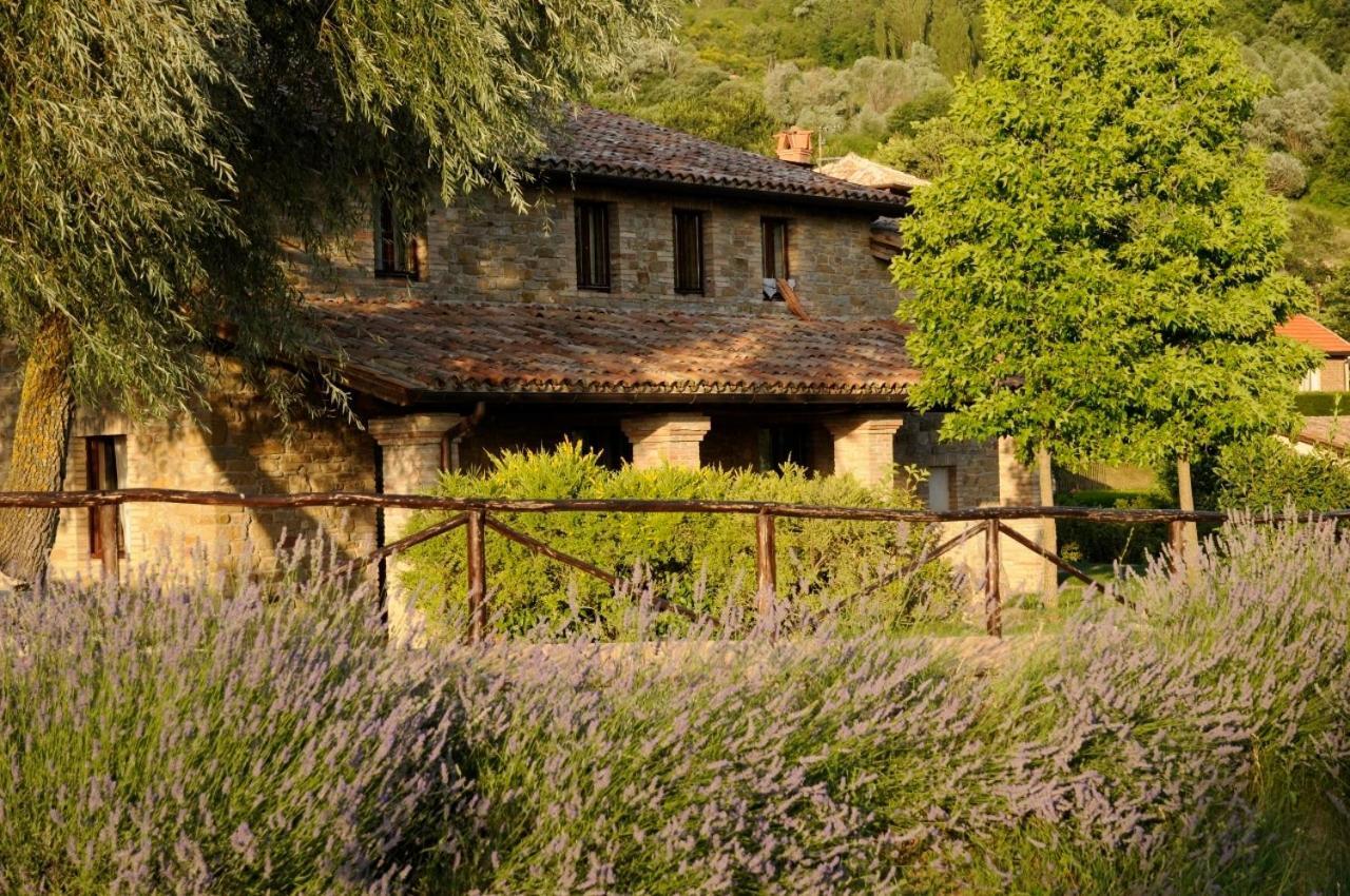 Agriturismo Le Case Asís Exterior foto